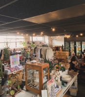 Two Businesses In One - Cafe & Boutique Shop