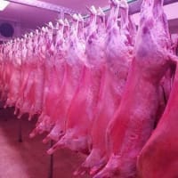 Rtrjx1za6xb4vemgcktw