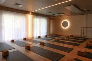 Independent Movement and Wellness Studio – Lower North Shore Sydney, NSW