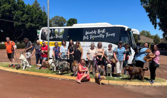 Rvd62wprx7i8eed4xxbb