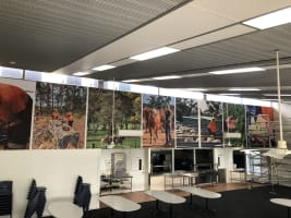 Established Signage, Graphic Design & Digital Print Business WIWO