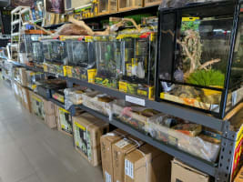 Reptile and Hydroponic Shop – First and Only in WA – Est. 2003 – East Rockingham, WA