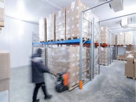 20 year Asian Frozen Food Manufacturing - Owner Retiring