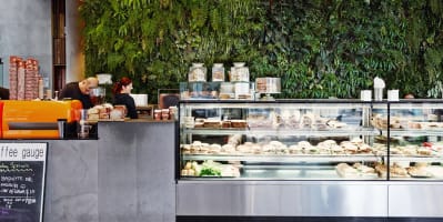 NEW REGIONAL HOSPITAL - 6 CAFES FOOD OUTLETS, CONVENIENCE STORE, CONVENTION CENTRE, PHARMACY FOR ...