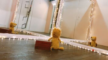 Popular Amusement Business in Sydney CBD - Fantastic Growth Opportunities.