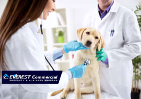 Exceptional  Veterinary Business for Sale  South East Of Victoria