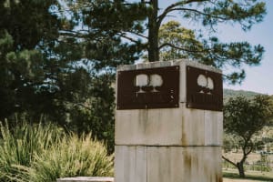 Award-Winning Two Figs Winery, Shoalhaven Coast