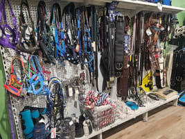 Business for Sale: Thriving Rural Retail Store.