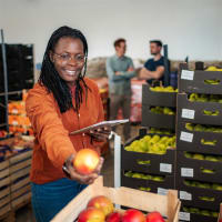 Wholesale Fruit & Veg Distribution Business