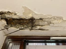 Established Property Maintenance Business based in the Eastern Suburbs of Sydney