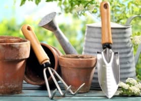 S51ymn2vdaoszeq7r1gk