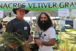 NATURES ENGINEERING WONDER PLANT