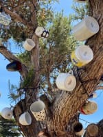 Tanash Coffee and Waffles - San Remo