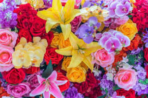 FLORIST EXCEPTIONAL WITH ONLINE AND PHONE ORDERS. SIMPLE CASH CASH CASH BUSINESS
