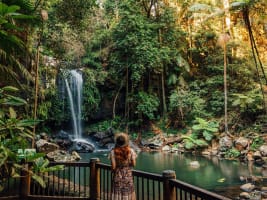 Profitable Restaurant for Sale - Tamborine Mountain QLD