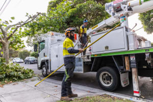 Vegetation Maintenance Municipal Contractor