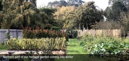 HERITAGE SEED BANK and OPEN GARDEN