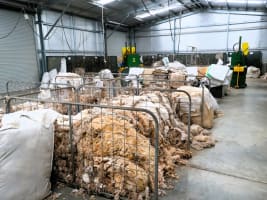 Sey4evwagbd6uv4kyqhh