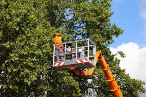 Profitable Construction Service Biz for Sale- SE Melbourne