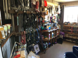 Thriving Business in the Golden Triangle