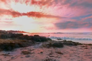 AN EXCITING OPPORTUNITY WHERE TRAVEL IS INCLUDED – 13CL