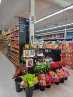 Skulkllf1zhbmrnui0bw