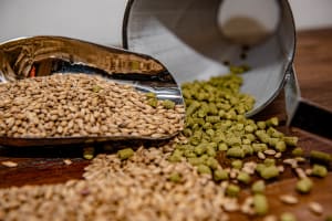 Sydney Home Brewing Business for sale - $260,000 (includes stock, fixtures)