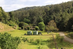 Sustainable Hazelnut & Agritourism Business Opportunity