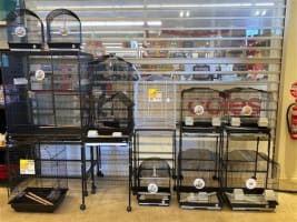 Northam's Only Pet Store For Sale
