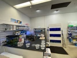 Northam's Only Pet Store For Sale