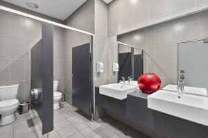 Ss0trbb1hlbu8uyz0u1c