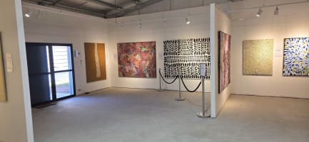 Renowned Aboriginal Art Gallery & Collection Rare Opportunity