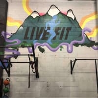 Turn-Key Fitness Business Available for 75K O.N.O