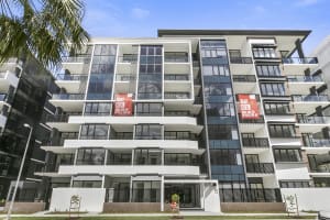 Stvglj8vjbc7wkqx5zso