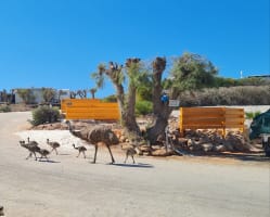 The Best Shark Bay Caravan Park For Sale