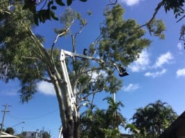 Swhkbzgw4iw6takjtcuj