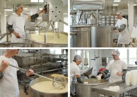 Dairy Manufacturing Facility - Share Sale, Strategic Investment or Full Acquisition | Victoria