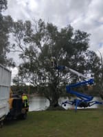 Sxn3oa7x5hb1ro6zzqq7