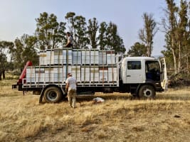 Asset-Based Small Scale Commercial Beekeeping Opportunity for Sale