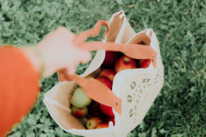 Grocery Store | $16K+/Wk | Prime Location | Low Rent | Under $100K [2507241]