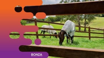 36139 - Profitable Rural Fencing Business for Sale