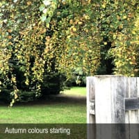 HERITAGE SEED BANK and OPEN GARDEN