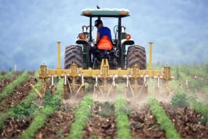 Freehold Agricultural Supplies  Toowoomba Region, Excellent Reputation