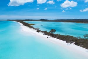 T5blmj8ak6vmnjob3vpa