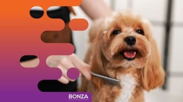 36635 Profitable Mobile Dog Grooming Business - Open To Offers