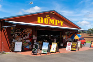 SPECIALTY GROCERY STORE ESTABLISHED IN 1969