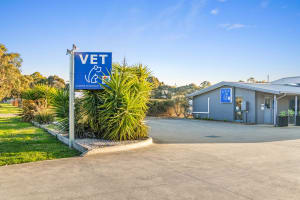 Longstanding Small Animal Veterinary Practice with Loyal Clientele & Modern Facilities