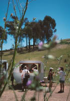 Custom Built Mobile Coffee Caravan – Sydney, NSW