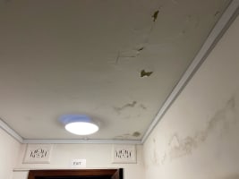 Established Property Maintenance Business based in the Eastern Suburbs of Sydney