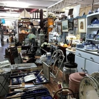 Antique & Vintage Store in Samford - 12 Years of Success